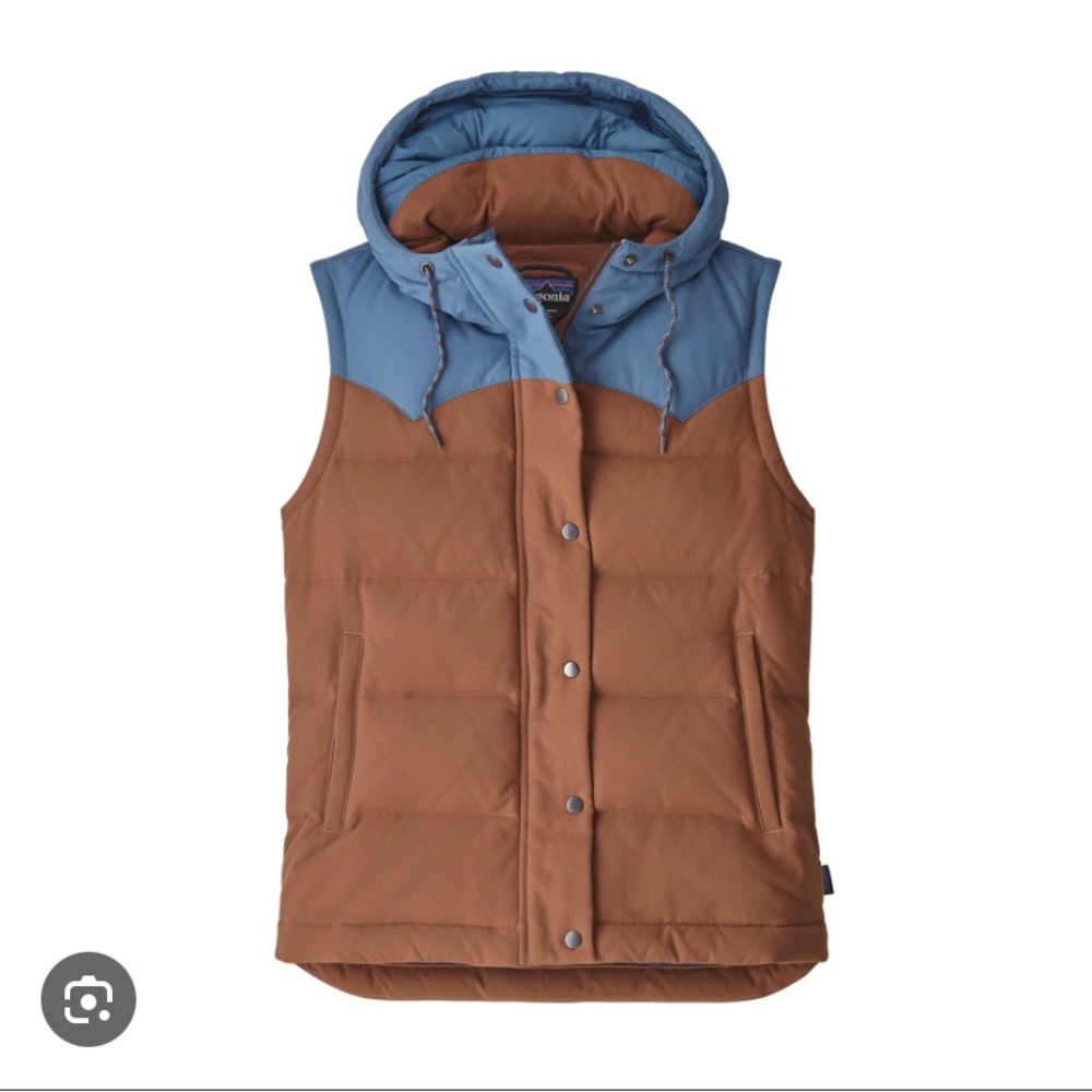 Patagonia Bivy Down Hooded Vest